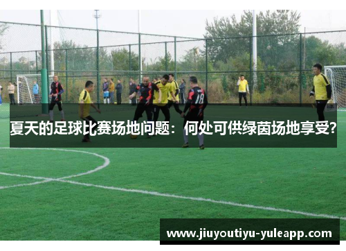 夏天的足球比赛场地问题：何处可供绿茵场地享受？