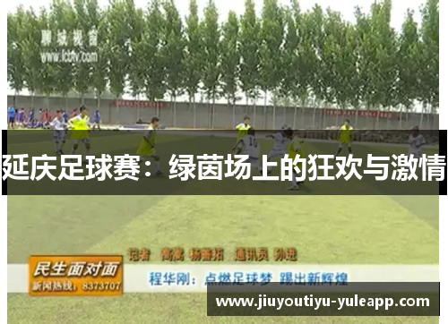 延庆足球赛：绿茵场上的狂欢与激情